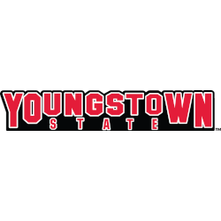 Youngstown State Penguins Wordmark Logo 2004 - Present